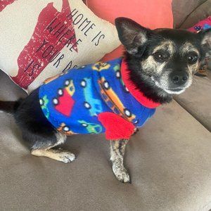 😻DELETING TODAY CLOSING FINAL$ DROP😻-Size A Fleece Dog pullover sweater